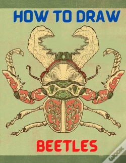 Capa do artigo How To Draw Beetles