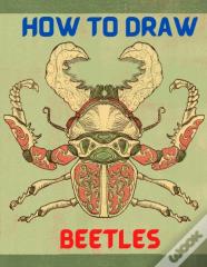 How To Draw Beetles