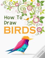 How To Draw Birds