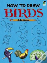 How To Draw Birds