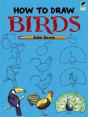 How To Draw Birds - Preview