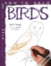 Capa do artigo How To Draw Birds
