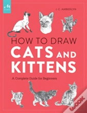 How To Draw Cats And Kittens