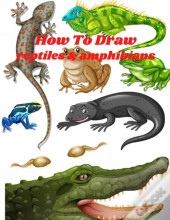 How To Draw Reptiles & Amphibians