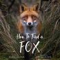 How To Find A Fox - Preview