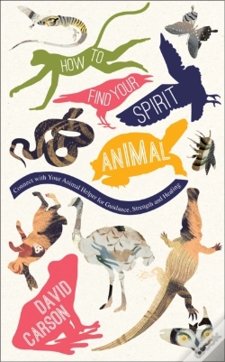 Capa do artigo How To Find Your Spirit Animal