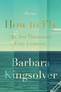 Capa do artigo How To Fly (In Ten Thousand Easy Lessons)