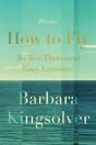 How To Fly (In Ten Thousand Easy Lessons) - Preview