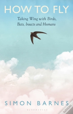 Capa do artigo How To Fly