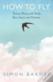 Capa do artigo How To Fly