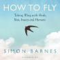How To Fly - Preview