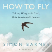 Capa do artigo How To Fly