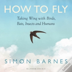 Capa do artigo How To Fly