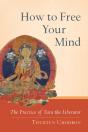 How To Free Your Mind - Preview