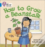 Capa do artigo How To Grow A Beanstalk