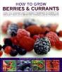 How To Grow Berries And Currants - Preview