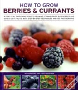 Capa do artigo How To Grow Berries And Currants