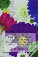 How To Grow Chrysanthemums Like An Expert