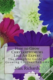 How To Grow Chrysanthemums Like An Expert