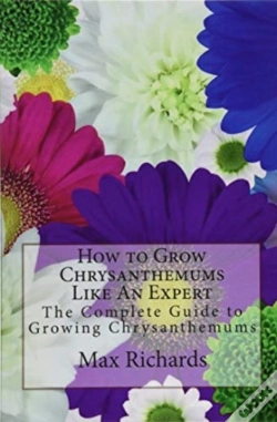 Capa do artigo How To Grow Chrysanthemums Like An Expert