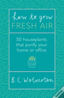 Capa do artigo How To Grow Fresh Air