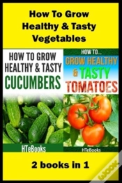 Capa do artigo How To Grow Healthy & Tasty Vegetables