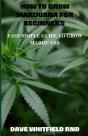 How To Grow Marijuana For Beginners - Preview