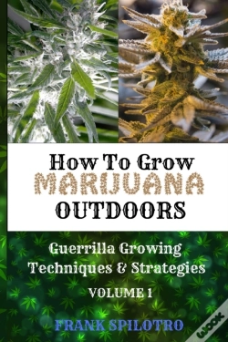 Capa do artigo How To Grow Marijuana Outdoors