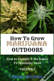 Capa do artigo How To Grow Marijuana Outdoors
