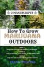 How To Grow Marijuana Outdoors - Preview