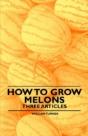How To Grow Melons - Three Articles - Preview