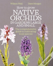 How To Grow Native Orchids In Gardens Large And Small