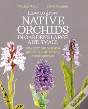 Capa do artigo How To Grow Native Orchids In Gardens Large And Small