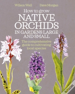 Capa do artigo How To Grow Native Orchids In Gardens Large And Small