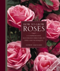 How To Grow Roses