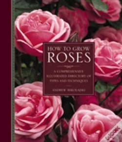 Capa do artigo How To Grow Roses