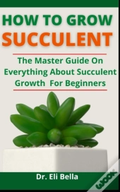 How To Grow Succulent