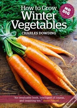 Capa do artigo How To Grow Winter Vegetables