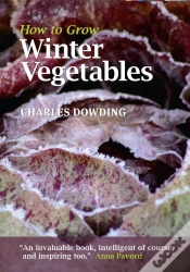 Capa do artigo How To Grow Winter Vegetables