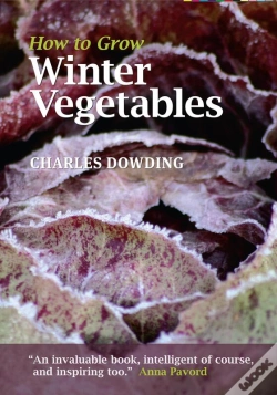 Capa do artigo How To Grow Winter Vegetables