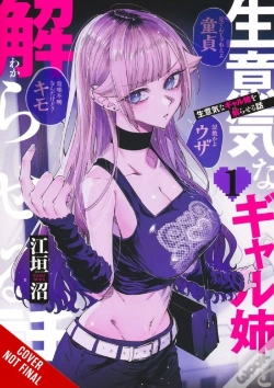 Capa do artigo How To Handle My Sassy Big Sis, Vol. 1