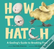 Capa do artigo How To Hatch