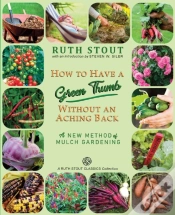 Capa do artigo How To Have A Green Thumb Without An Aching Back