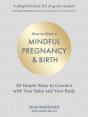 How To Have A Mindful Pregnancy And Birth - Preview