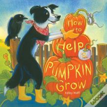 How To Help A Pumpkin Grow