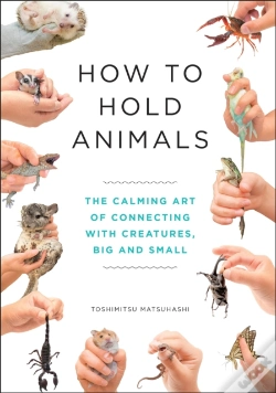 Capa do artigo How To Hold Animals