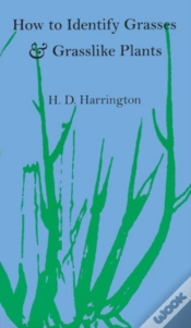 Capa do artigo How To Identify Grasses And Grasslike Plants