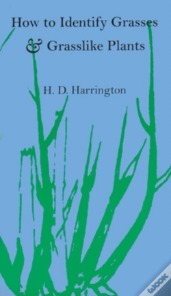 Capa do artigo How To Identify Grasses And Grasslike Plants