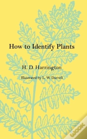 Capa do artigo How To Identify Plants