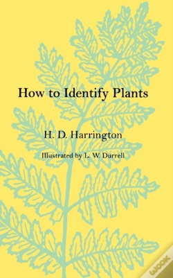 Capa do artigo How To Identify Plants